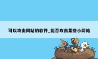 可以攻击网站的软件_能否攻击某些小网站