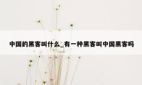中国的黑客叫什么_有一种黑客叫中国黑客吗