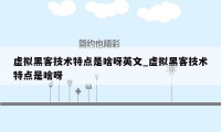 虚拟黑客技术特点是啥呀英文_虚拟黑客技术特点是啥呀