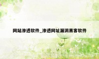网站渗透软件_渗透网址漏洞黑客软件