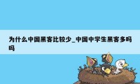 为什么中国黑客比较少_中国中学生黑客多吗吗