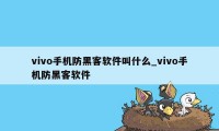 vivo手机防黑客软件叫什么_vivo手机防黑客软件