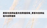 黑客攻击网站是攻击数据库嘛_黑客攻击网站是攻击数据库