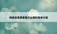 网络至尊黑客是什么梗的简单介绍