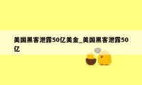 美国黑客泄露50亿美金_美国黑客泄露50亿