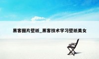 黑客图片壁纸_黑客技术学习壁纸美女