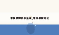 中国黑客高手是谁_中国黑客海伦
