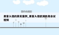 黑客入侵的真实案例_黑客入侵欧洲防务会议视频