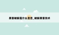 黑客破解是什么意思_破解黑客技术