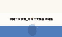 中国五大黑客_中国三大黑客资料集
