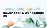 黑客入侵的原理是什么_黑客入侵最明显征兆图片