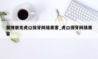 赛博朋克虎口拔牙网络黑客_虎口拔牙网络黑客