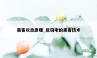 黑客攻击原理_反窃听的黑客技术