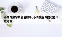 小白与黑客的爱情故事_小白黑客攻防教程下载免费