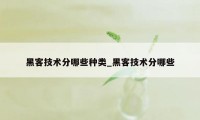 黑客技术分哪些种类_黑客技术分哪些
