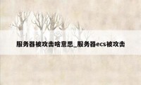 服务器被攻击啥意思_服务器ecs被攻击