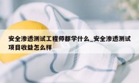 安全渗透测试工程师都学什么_安全渗透测试项目收益怎么样