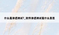 什么是渗透测试?_软件渗透测试是什么意思