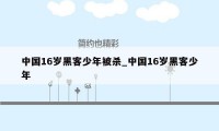 中国16岁黑客少年被杀_中国16岁黑客少年