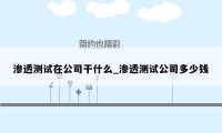 渗透测试在公司干什么_渗透测试公司多少钱