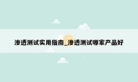渗透测试实用指南_渗透测试哪家产品好