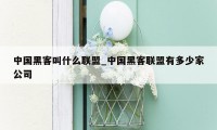 中国黑客叫什么联盟_中国黑客联盟有多少家公司