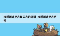 渗透测试甲方和乙方的区别_渗透测试甲方声明