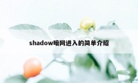 shadow暗网进入的简单介绍