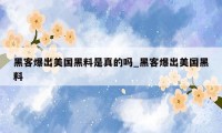 黑客爆出美国黑料是真的吗_黑客爆出美国黑料