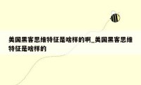 美国黑客思维特征是啥样的啊_美国黑客思维特征是啥样的