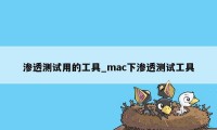 渗透测试用的工具_mac下渗透测试工具
