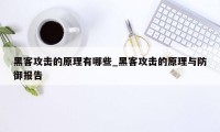 黑客攻击的原理有哪些_黑客攻击的原理与防御报告