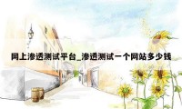 网上渗透测试平台_渗透测试一个网站多少钱