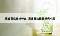 黑客喜欢被叫什么_黑客喜欢比特币吗中国