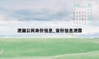 泄漏公民身份信息_省份信息泄露