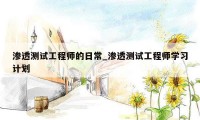 渗透测试工程师的日常_渗透测试工程师学习计划