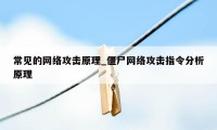 常见的网络攻击原理_僵尸网络攻击指令分析原理