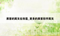 黑客的英文名称是_更多的黑客软件英文