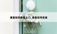 黑客软件黑客入门_黑客软件实用