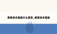 黑客技术是指什么意思_黑客技术是指