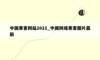 中国黑客网站2021_中国网络黑客图片最新