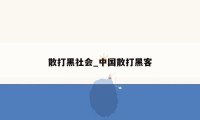 散打黑社会_中国散打黑客