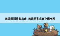 美国遭到黑客攻击_美国黑客攻击中国电网