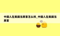 中国人在美国当黑客怎么样_中国人在美国当黑客