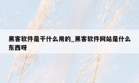黑客软件是干什么用的_黑客软件网站是什么东西呀