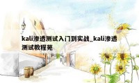kali渗透测试入门到实战_kali渗透测试教程苑