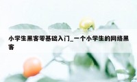 小学生黑客零基础入门_一个小学生的网络黑客