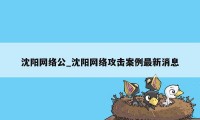 沈阳网络公_沈阳网络攻击案例最新消息