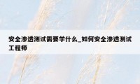 安全渗透测试需要学什么_如何安全渗透测试工程师