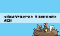 渗透测试和等保测评区别_等保测评跟渗透测试区别